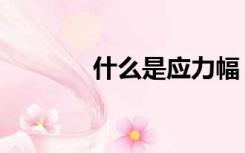 什么是应力幅（什么是应力）