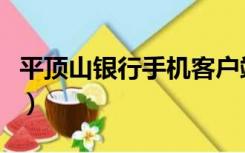 平顶山银行手机客户端（平顶山网上银行登录）