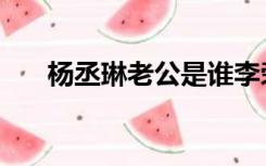 杨丞琳老公是谁李荣浩（杨丞琳老公）