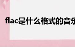 flac是什么格式的音乐（FLAC是什么格式）
