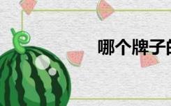 哪个牌子的瓷砖好？