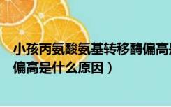 小孩丙氨酸氨基转移酶偏高是什么原因（丙氨酸氨基转移酶偏高是什么原因）