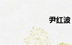 尹红波（尹红）