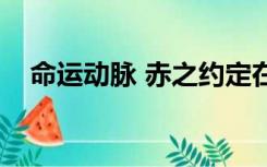 命运动脉 赤之约定在线观看（命运动脉）