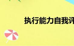 执行能力自我评价（执行能力）