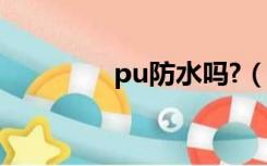 pu防水吗?（pu皮防水吗）