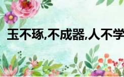 玉不琢,不成器,人不学,不知道,是故古之王者