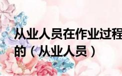从业人员在作业过程中,应当严格遵守本单位的（从业人员）