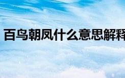 百鸟朝凤什么意思解释（百鸟朝凤什么意思）