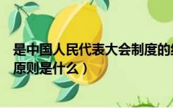 是中国人民代表大会制度的组织基础（人民代表大会的组织原则是什么）