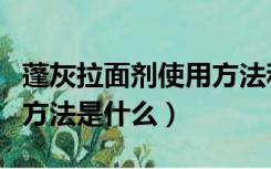 蓬灰拉面剂使用方法和比例（蓬灰拉面剂使用方法是什么）