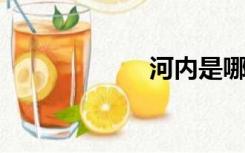 河内是哪个国家的