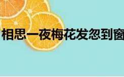 相思一夜梅花发忽到窗前疑是君代表什么生肖