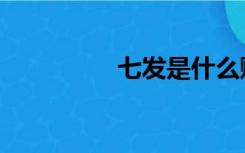 七发是什么赋体（七发）