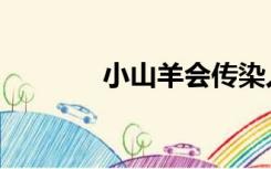 小山羊会传染人吗（小山羊）