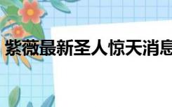 紫薇最新圣人惊天消息（紫薇圣人最新消息）