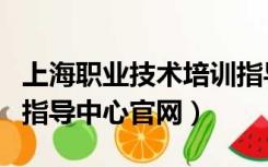 上海职业技术培训指导中心（上海市职业培训指导中心官网）
