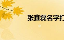 张鑫磊名字打分（张鑫磊）