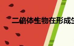 二倍体生物在形成生殖细胞时分类方式