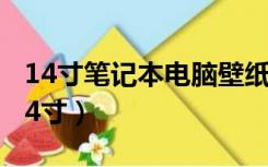14寸笔记本电脑壁纸尺寸（笔记本电脑壁纸14寸）