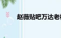 赵薇贴吧万达老板娘（赵薇贴吧）