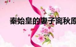 秦始皇的妻子离秋原型（秦始皇的妻子）