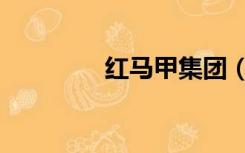 红马甲集团（红马甲官网）