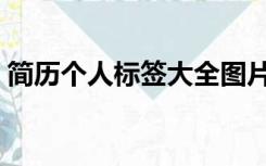 简历个人标签大全图片（简历个人标签大全）