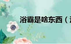 浴霸是啥东西（浴霸是什么东西）