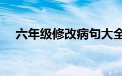六年级修改病句大全（六年级修改病句）