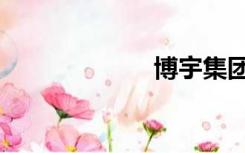 博宇集团（博宇）