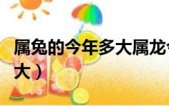 属兔的今年多大属龙今年几岁（属兔的今年多大）