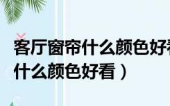 客厅窗帘什么颜色好看拜托大家了（客厅窗帘什么颜色好看）