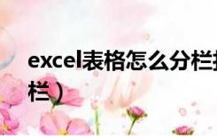 excel表格怎么分栏打印（excel表格怎么分栏）