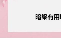 暗梁有用吗（暗梁）