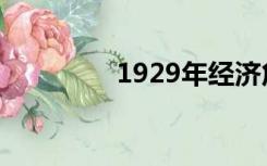 1929年经济危机（1929）