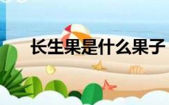 长生果是什么果子（长生果是什么果）