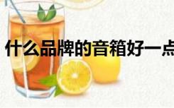 什么品牌的音箱好一点（什么品牌的音箱好）