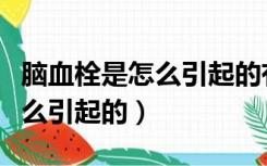 脑血栓是怎么引起的有什么症状（脑血栓是怎么引起的）