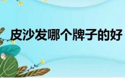 皮沙发哪个牌子的好（皮沙发什么牌子好）