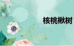 核桃楸树（核桃楸）