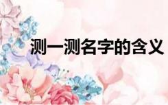 测一测名字的含义（测试名字的寓意）