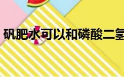 矾肥水可以和磷酸二氢钾一起用吗（矾肥水）