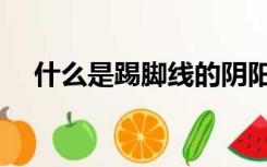 什么是踢脚线的阴阳角（什么是踢脚线）