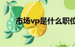 市场vp是什么职位（vp是什么职位）