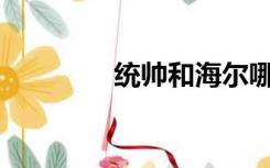 统帅和海尔哪个质量更好？