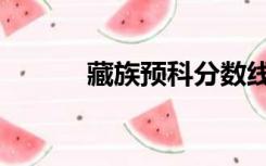 藏族预科分数线（预科分数线）