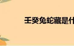 壬癸兔蛇藏是什么意思（壬癸）