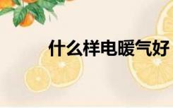 什么样电暖气好（什么电暖气好）