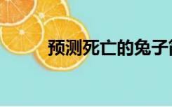 预测死亡的兔子简介（兔子简介）